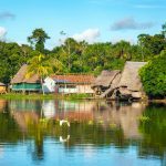 Amazonian tribes and dementia