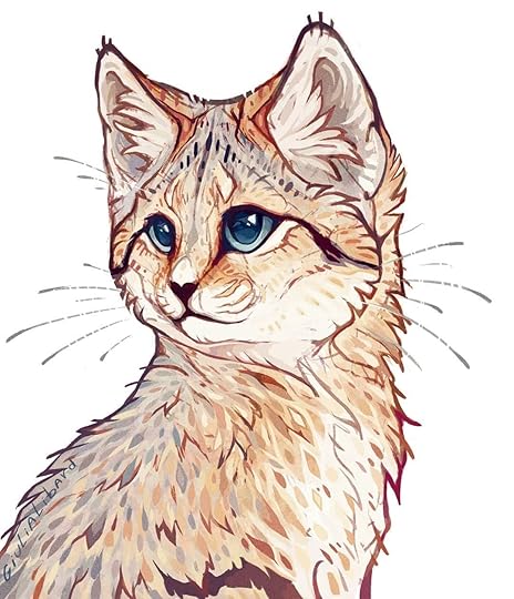 Sand cat . . #sandcat #cats #cat #wildcats #animals #desert | Cute animal drawings, Animal drawings, Cat drawing