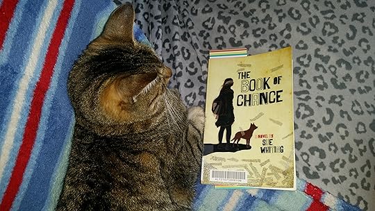 The Book of Chance by Sue Whiting