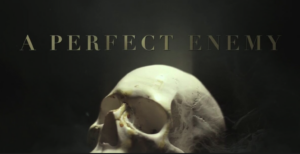 skull, A Perfect Enemy, lies