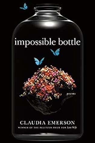 Impossible bottle by Claudia Emerson