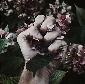 May be an image of flower