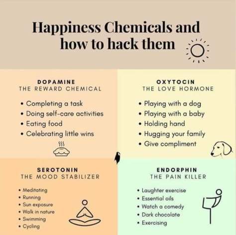 happiness chemicals