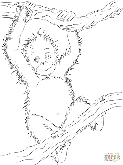 cute baby orangutan coloring page free printable