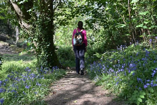 a walking holiday on Jersey