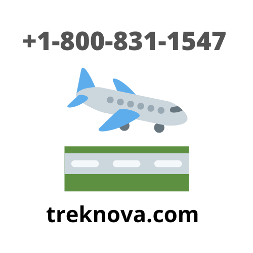 Spirit Airlines Contact Number Live Person Bark Profile