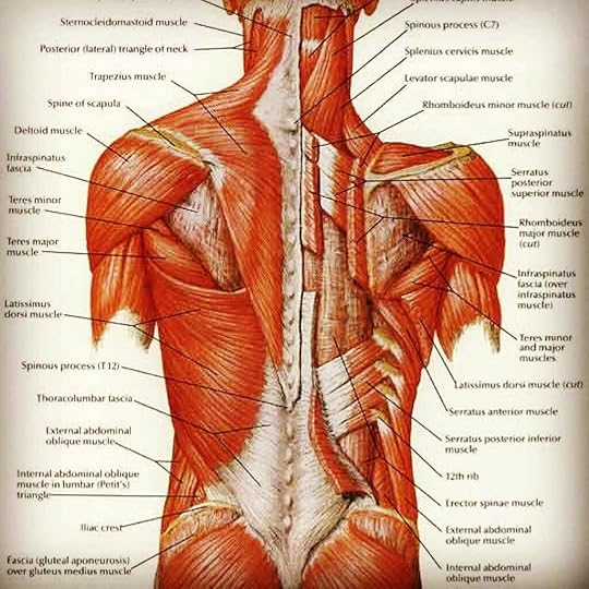 The things I #research.#amediting