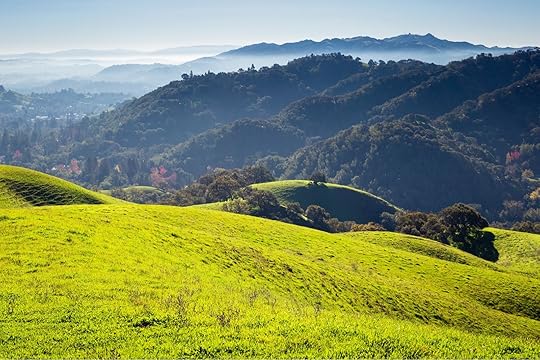 san francisco wine country lafayette