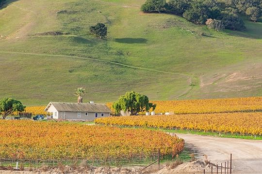 san francisco wine country salinas