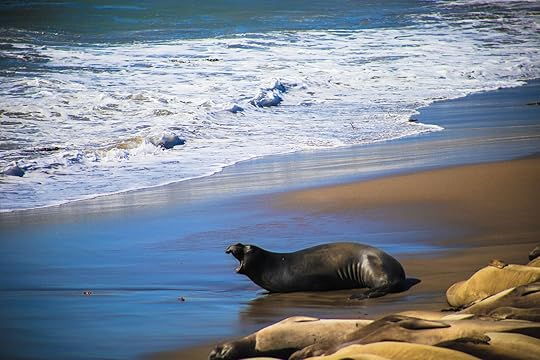  SLO seal