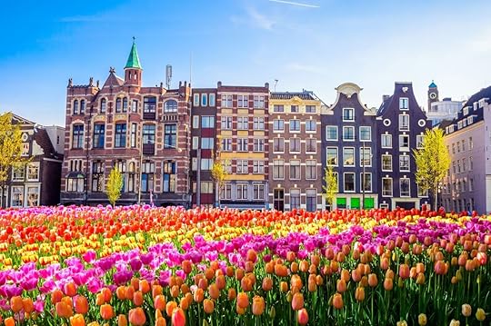 Colorful tulips with houses in background in Amsterdam 