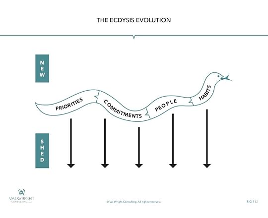 The Ecdysis Evolution