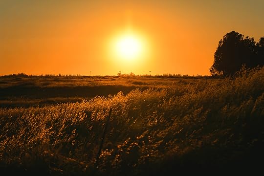 Jealousy is a universal emotion