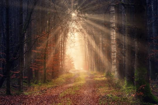 Befriend your jealousy