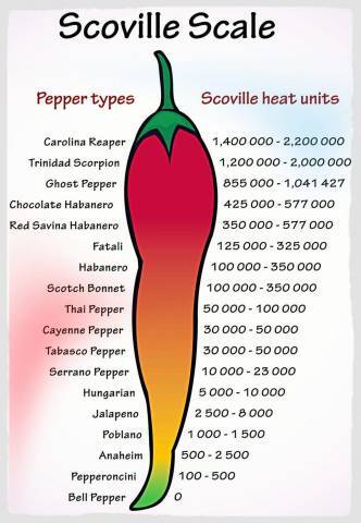 Scovillescaleofpepperheat-s-1200x1738-1