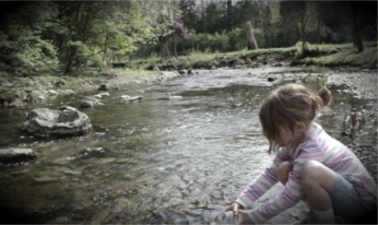 tadpoles