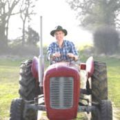 tractor