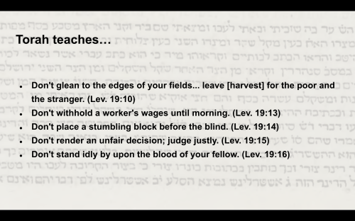 Don't glean to the edges of your fields... leave [harvest] for the poor and the stranger. (Lev. 19:10) <br />Don't withhold a worker's wages until morning. (Lev. 19:13) <br />Don't place a stumbling block before the blind. (Lev. 19:14) <br />Don't render an unfair decision; judge justly. (Lev. 19:15) <br />Don't stand idly by upon the blood of your fellow. (Lev. 19:16)<br /><br />