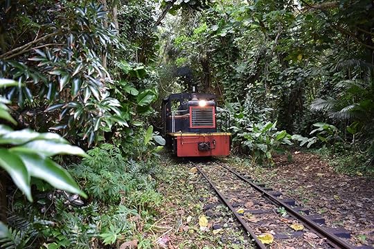 Train ride in the forest in Kauai, Hawaii