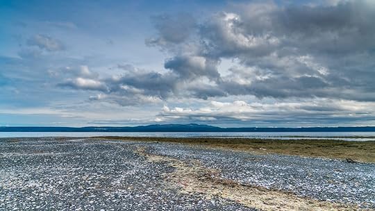 beaches-for-clamming-dosewallips