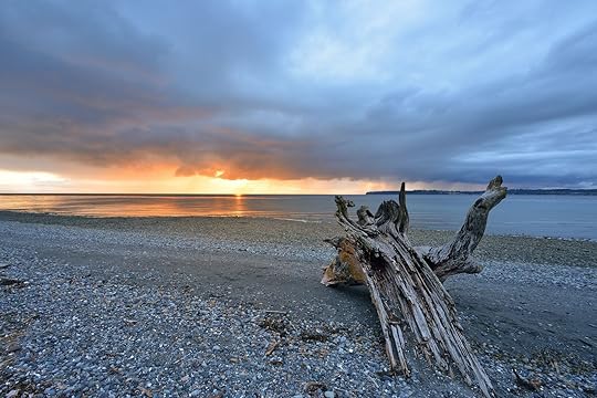 beaches-for-clamming-birch-bay