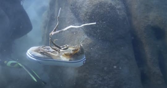 sneaker lake tahoe clean up 