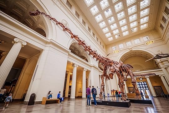 Dinosaur skeleton visible at the Field Museum. The Field Museum is one of the best museums in Chicago