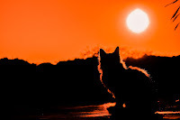 Panzer says, There is so much out there to see.