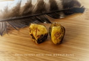 Elder Futhark runes Ingwaz and Tiwaz carved into Baltic amber, on a wooden surface with a turkey feather behind them