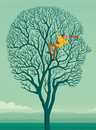 Mind (2)
