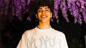 Fans pay tribute to the 19-year-old's legacy when TikToker GabeNotBabe dies in an auto crash - Game News 24