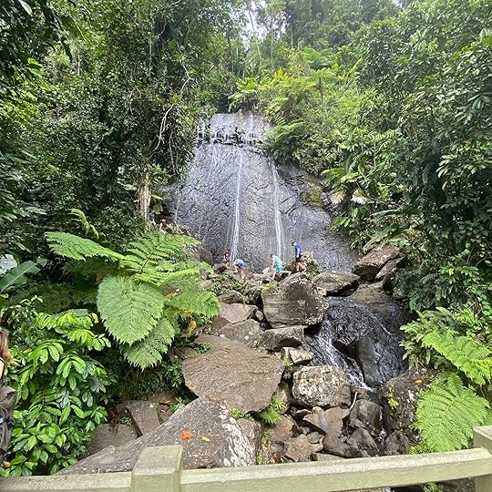Margaritaville Vacation Club by Wyndham review, Yunque national park