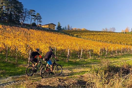 couple on a italy wine tour through piedmont
