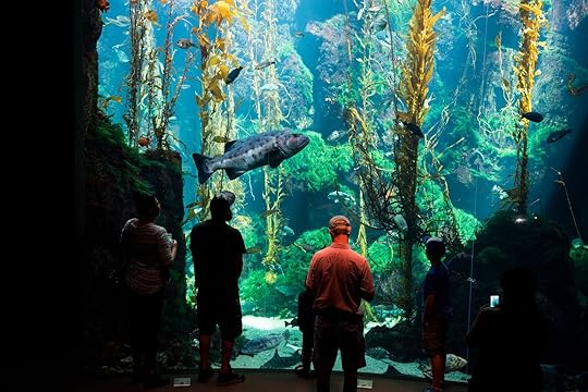 Kelp forest at the California Science Center