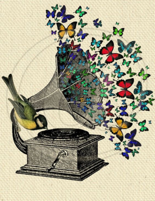 Music (2)
