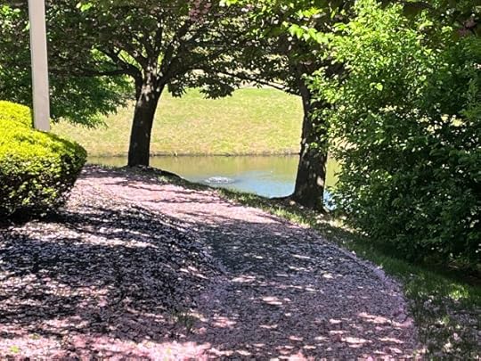 Stay the Course or is it Time to Leave This Path