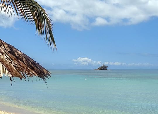 Palm and Hawksbill Rock