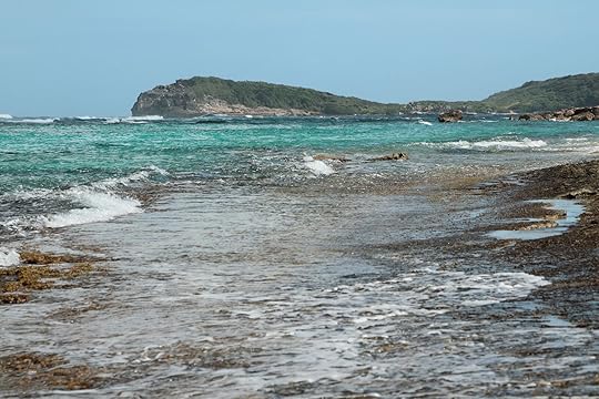 Anse Terare and Pointe Tarare. Guadeloupe