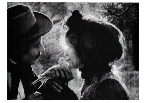 Lillian Gish in Birth of a Nation (1915)