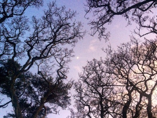 sunset sky during lockdown
