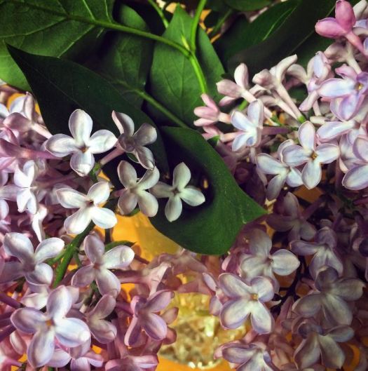 lilac. small blue ball.