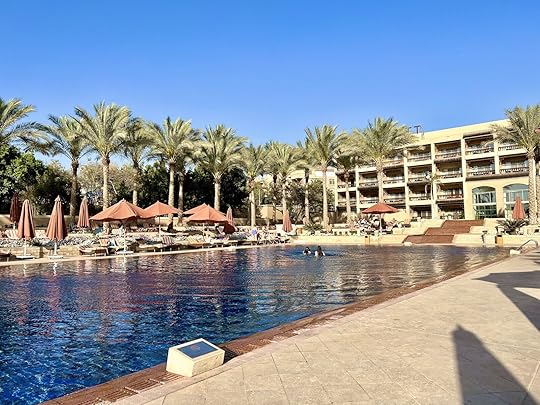 View of the Mena House pool