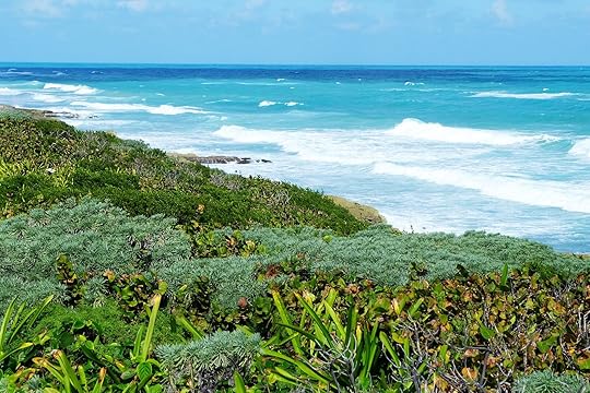 isla Contoy Mexico