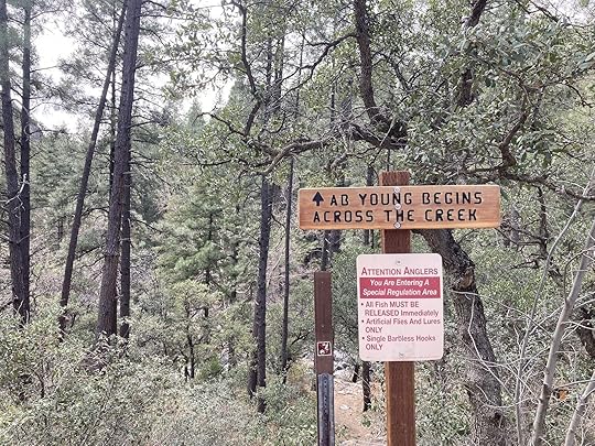 swimming hole near Coconino National Forest