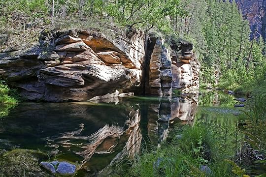 sedona swimming holes - national forest creek 