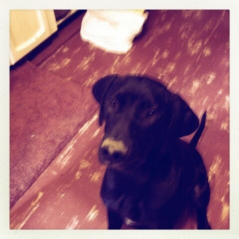 Beware of cranks in physics and crypto