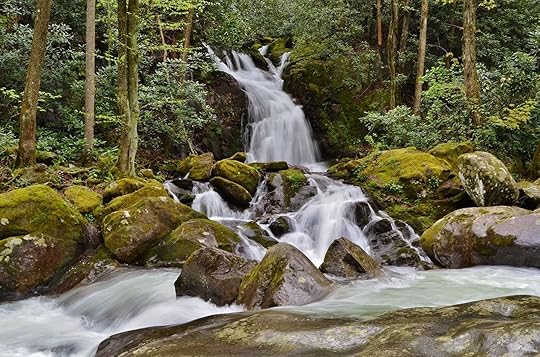 great smoky mountains waterfalls mouse falls