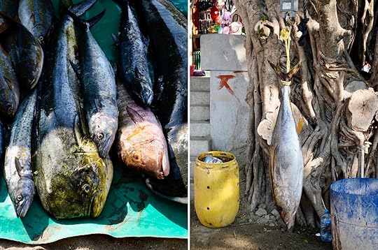 fish market at beach on zihuatanejo
