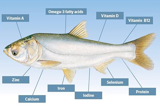 The health benefits of Asian carp