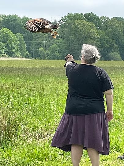 Hawk in the air, flying to the left away from my hand, and about a foot away from it.